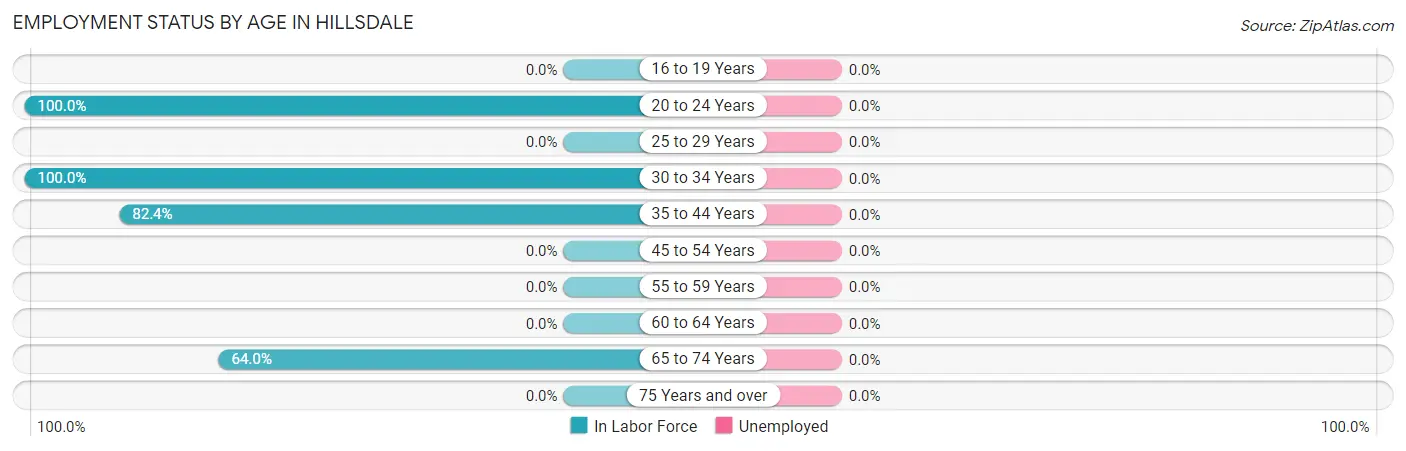 Employment Status by Age in Hillsdale