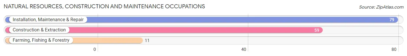 Natural Resources, Construction and Maintenance Occupations in Holcomb