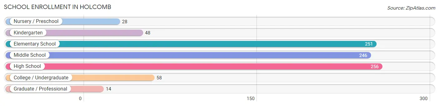 School Enrollment in Holcomb