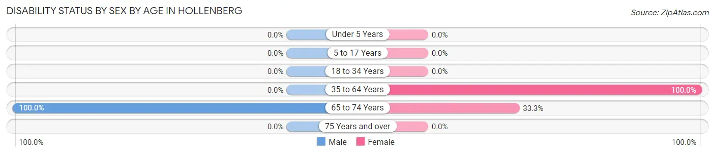 Disability Status by Sex by Age in Hollenberg