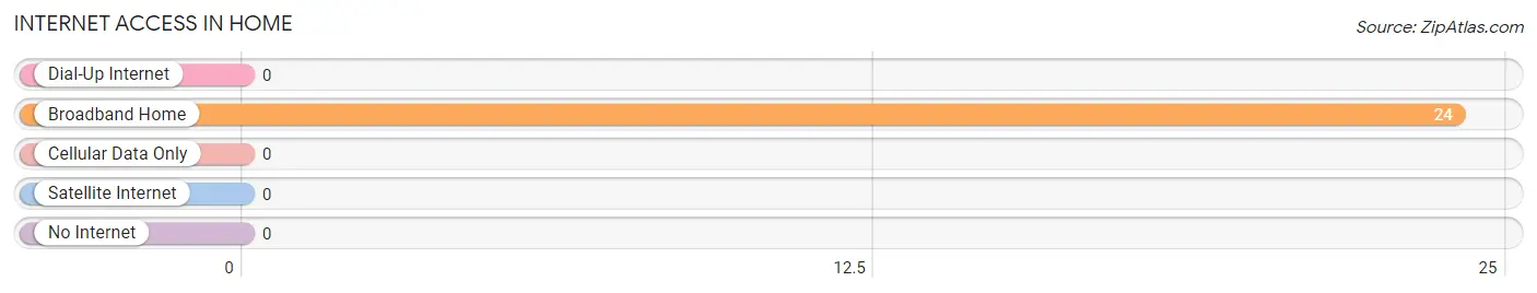 Internet Access in Home