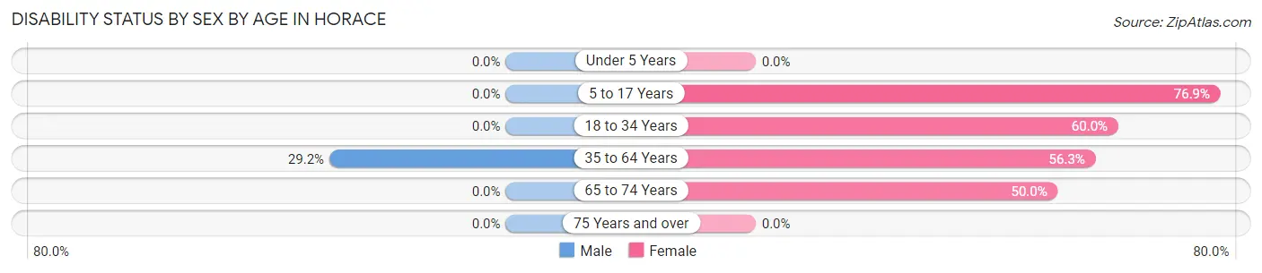 Disability Status by Sex by Age in Horace