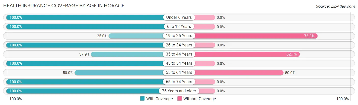 Health Insurance Coverage by Age in Horace