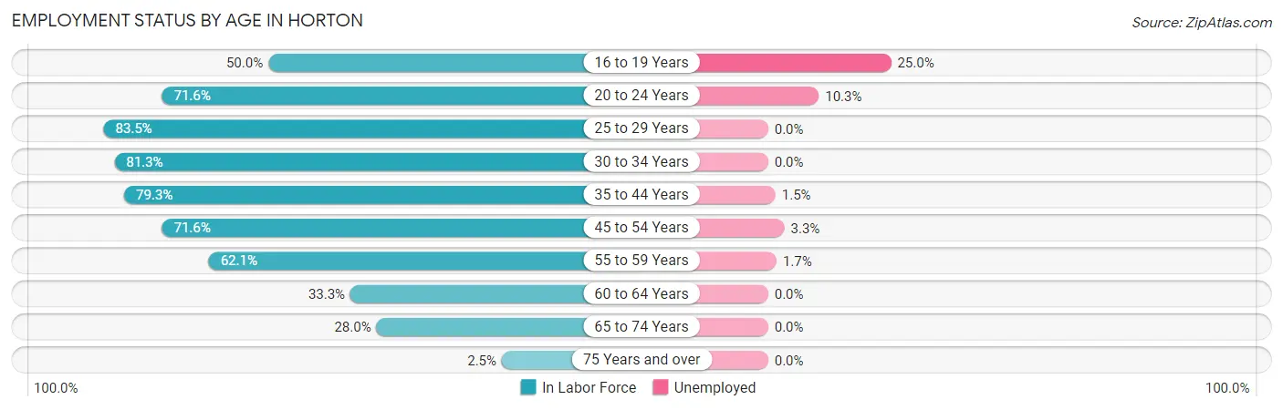Employment Status by Age in Horton