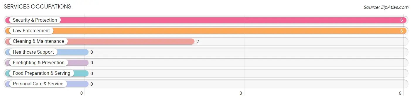 Services Occupations in Hudson