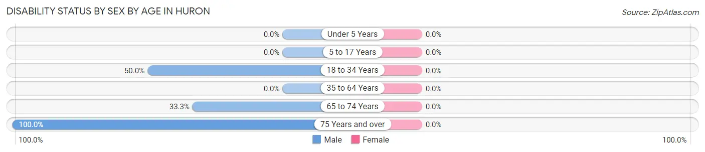 Disability Status by Sex by Age in Huron