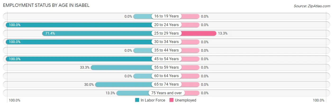 Employment Status by Age in Isabel