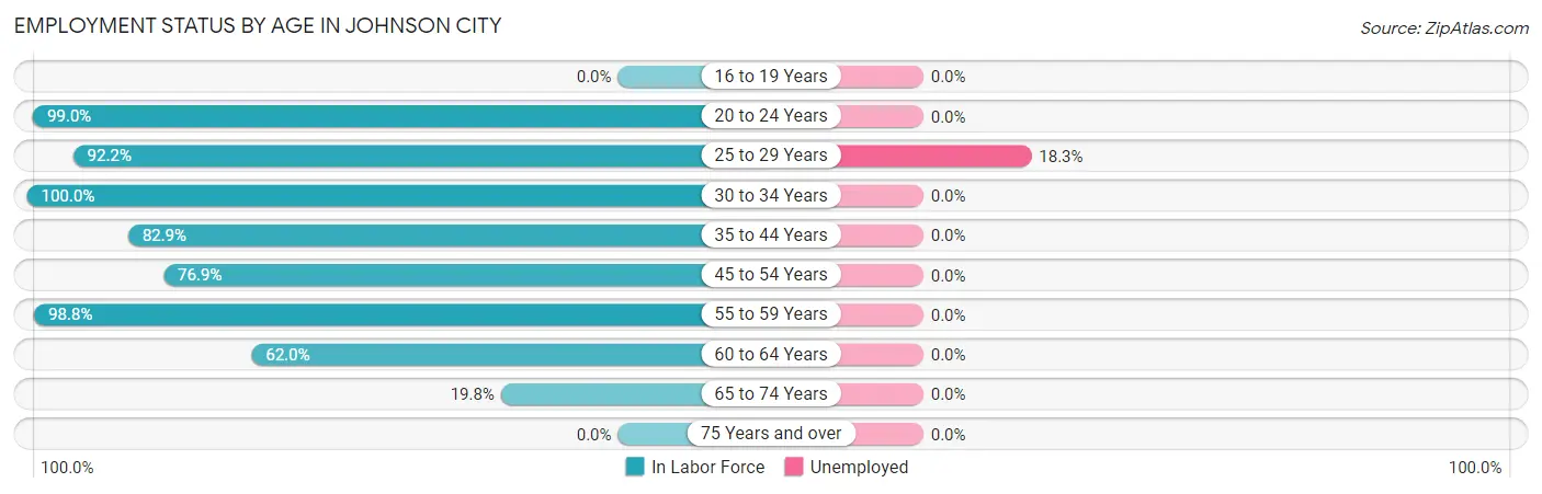 Employment Status by Age in Johnson City