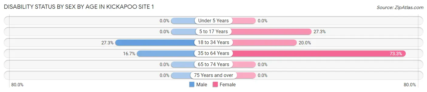 Disability Status by Sex by Age in Kickapoo Site 1