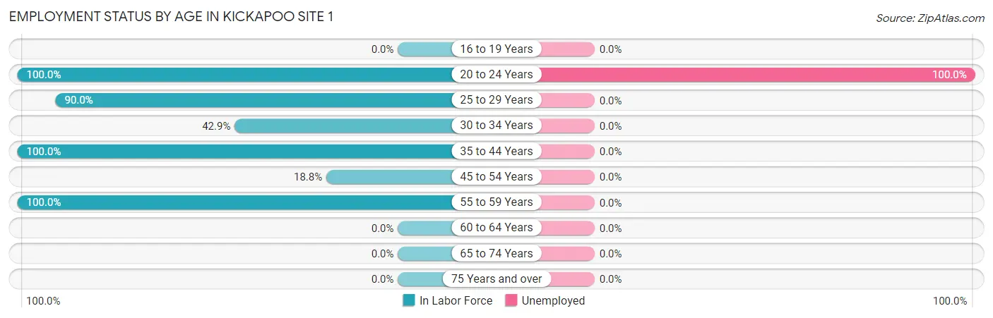 Employment Status by Age in Kickapoo Site 1