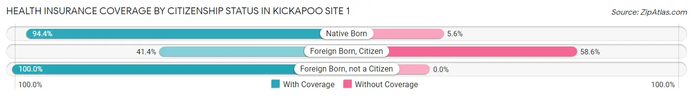 Health Insurance Coverage by Citizenship Status in Kickapoo Site 1
