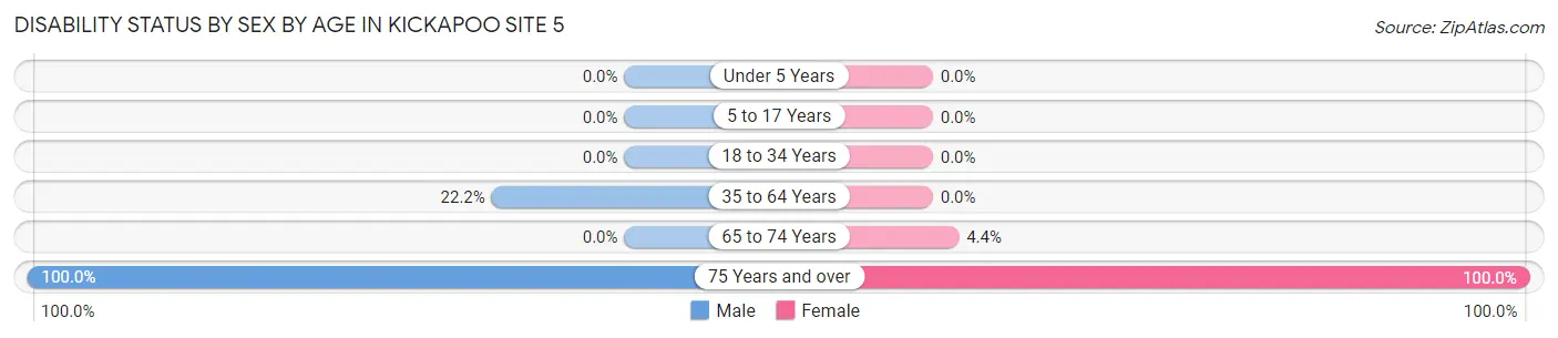Disability Status by Sex by Age in Kickapoo Site 5