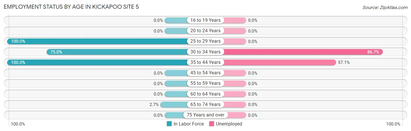 Employment Status by Age in Kickapoo Site 5