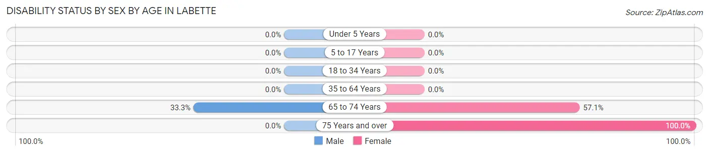 Disability Status by Sex by Age in Labette