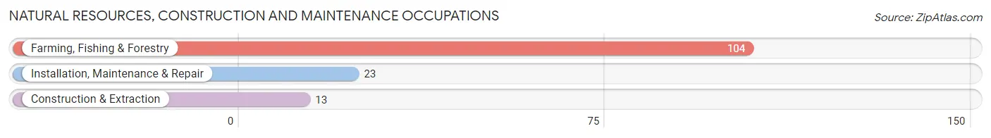 Natural Resources, Construction and Maintenance Occupations in Lakin