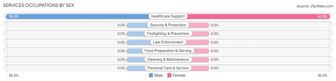 Services Occupations by Sex in Latimer