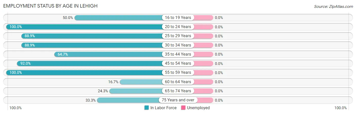 Employment Status by Age in Lehigh