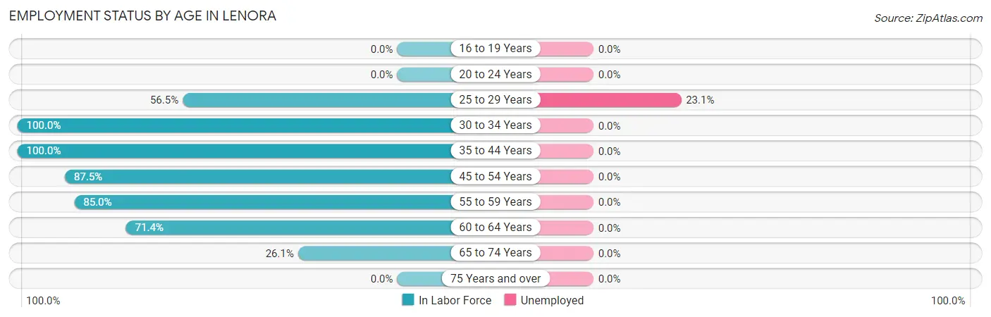 Employment Status by Age in Lenora