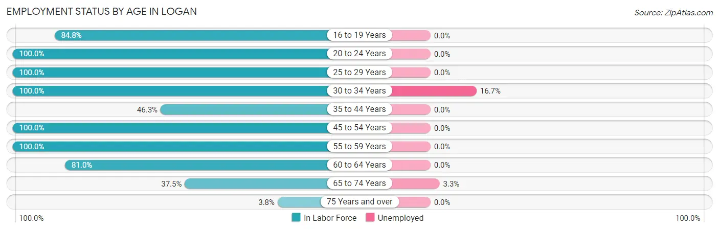 Employment Status by Age in Logan