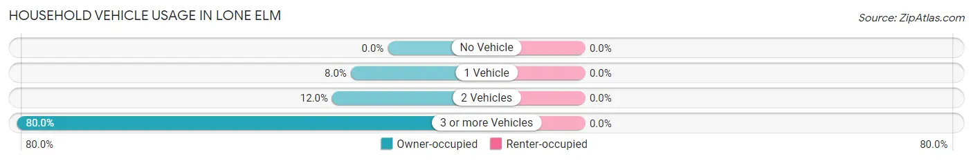 Household Vehicle Usage in Lone Elm