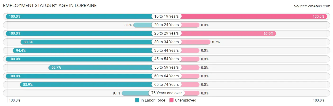 Employment Status by Age in Lorraine
