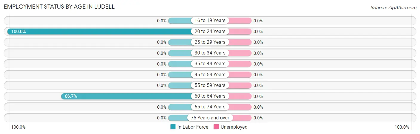 Employment Status by Age in Ludell