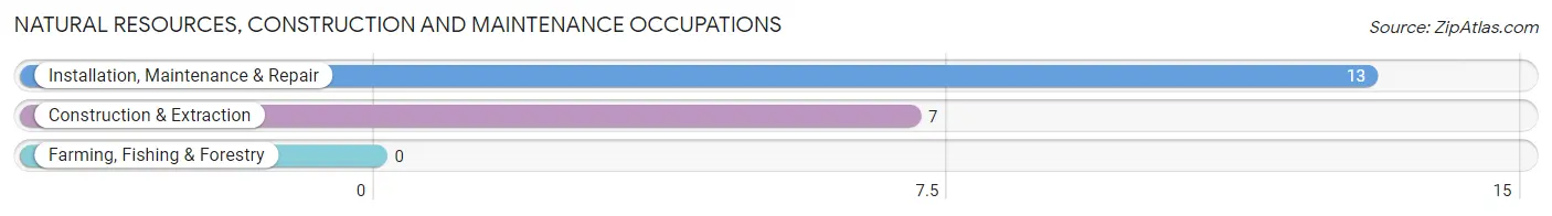 Natural Resources, Construction and Maintenance Occupations in Mankato