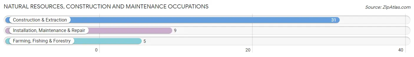 Natural Resources, Construction and Maintenance Occupations in Maple Hill