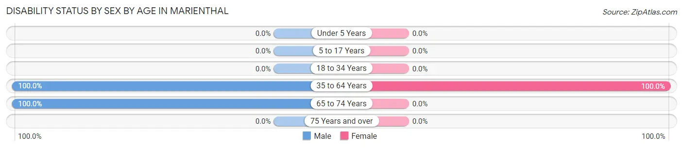 Disability Status by Sex by Age in Marienthal