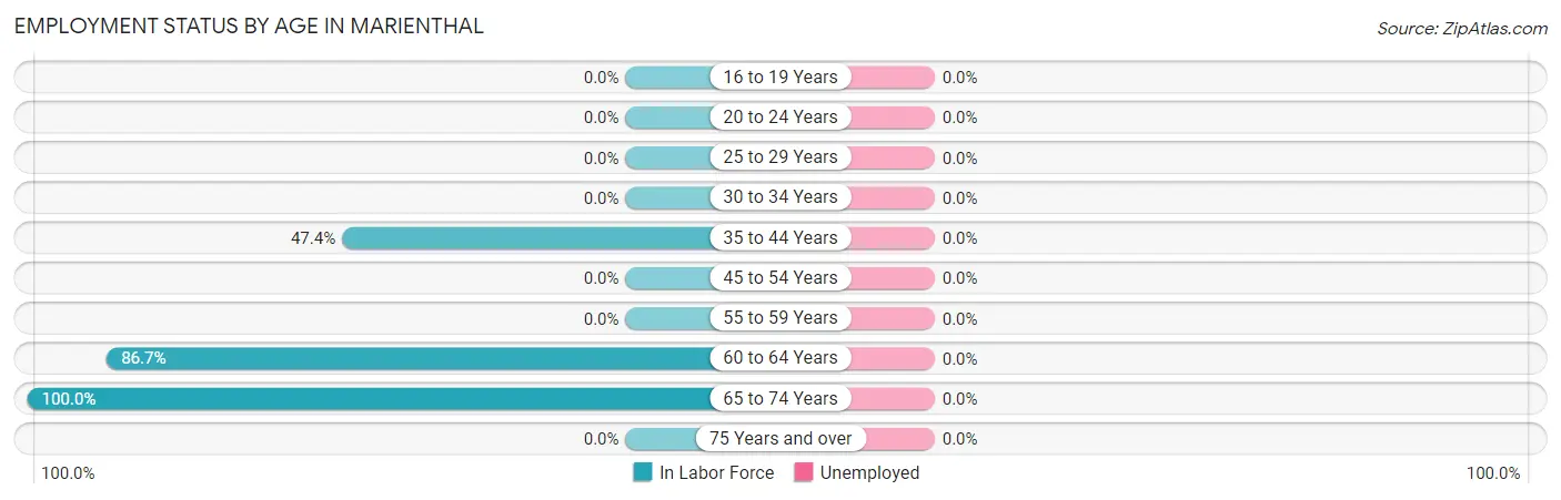 Employment Status by Age in Marienthal