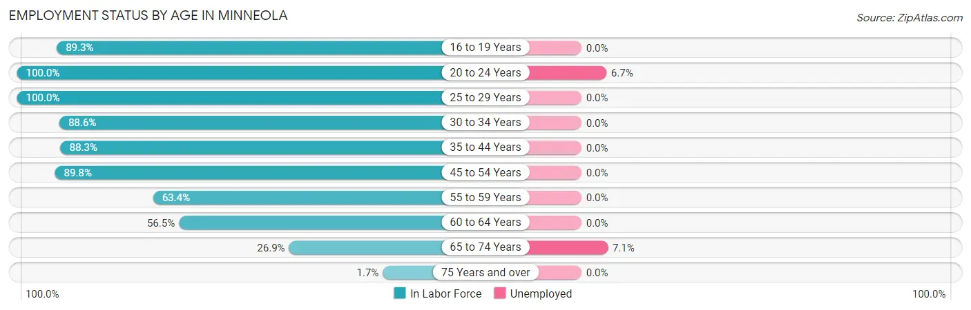 Employment Status by Age in Minneola