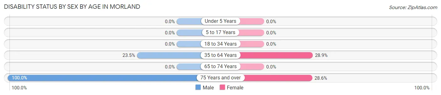 Disability Status by Sex by Age in Morland