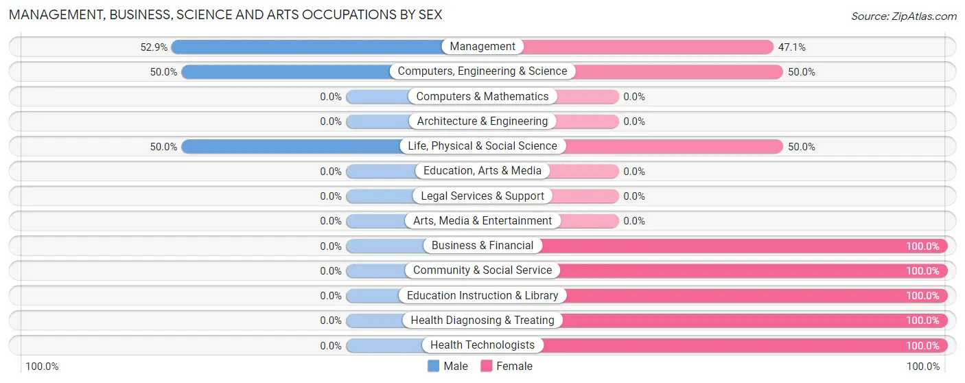 Management, Business, Science and Arts Occupations by Sex in Morrowville