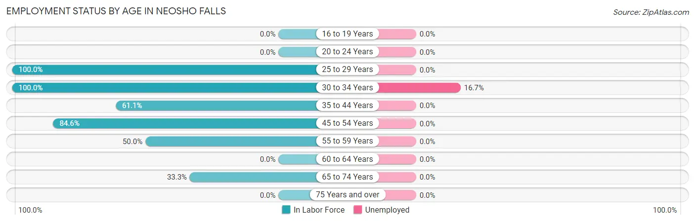 Employment Status by Age in Neosho Falls