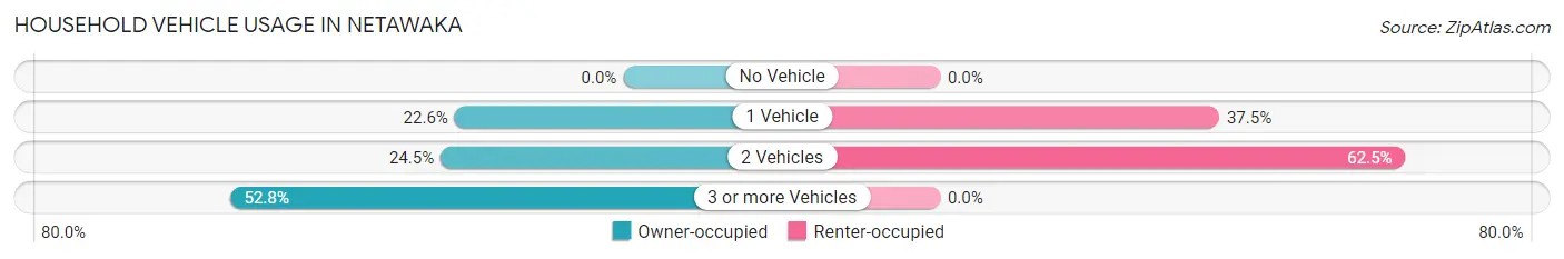 Household Vehicle Usage in Netawaka