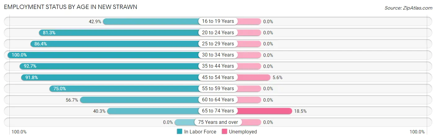 Employment Status by Age in New Strawn