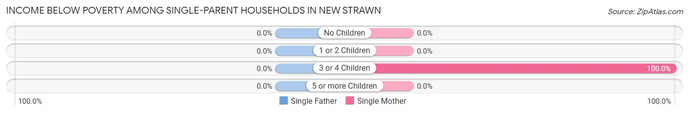 Income Below Poverty Among Single-Parent Households in New Strawn