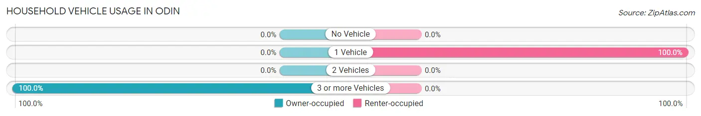Household Vehicle Usage in Odin