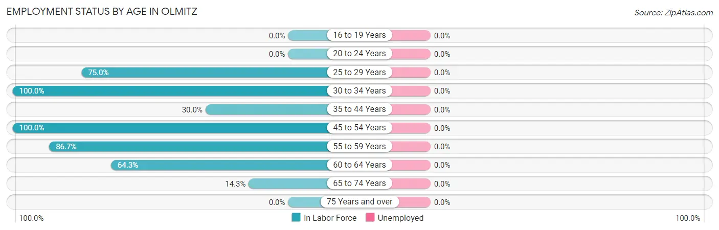 Employment Status by Age in Olmitz