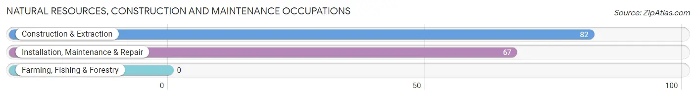 Natural Resources, Construction and Maintenance Occupations in Osage City