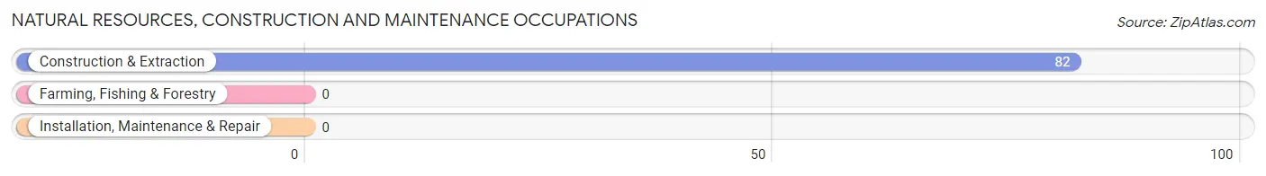 Natural Resources, Construction and Maintenance Occupations in Osawatomie