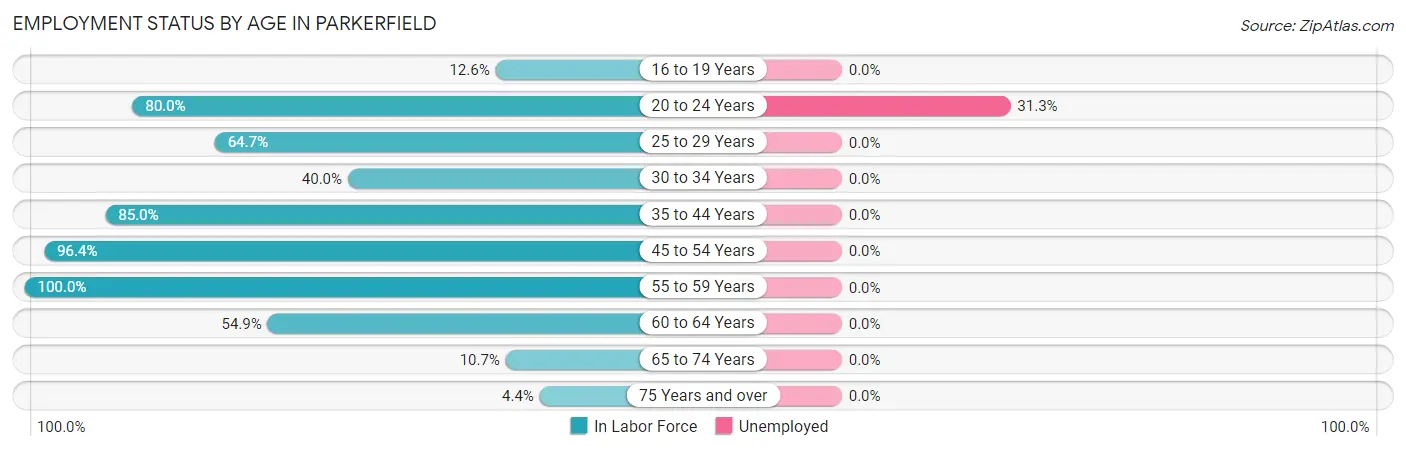 Employment Status by Age in Parkerfield