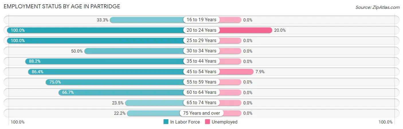 Employment Status by Age in Partridge