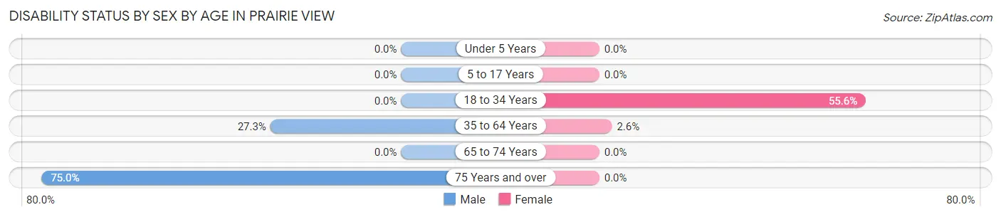 Disability Status by Sex by Age in Prairie View