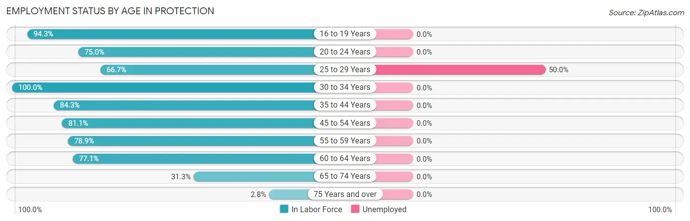 Employment Status by Age in Protection