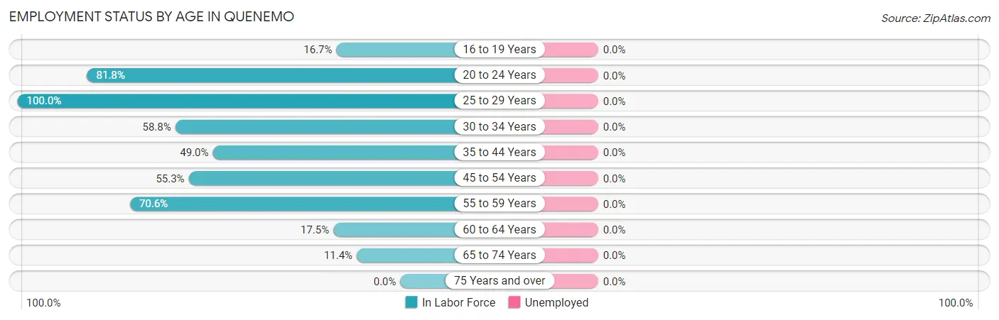 Employment Status by Age in Quenemo