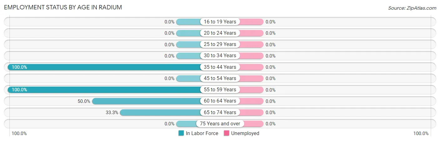 Employment Status by Age in Radium