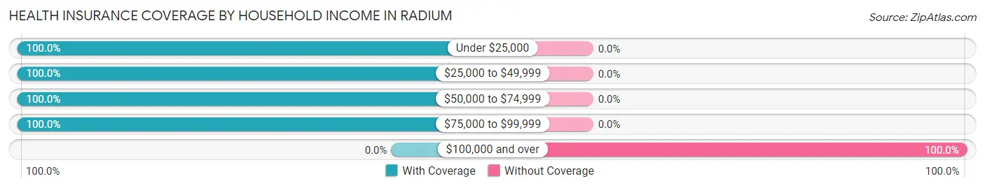 Health Insurance Coverage by Household Income in Radium