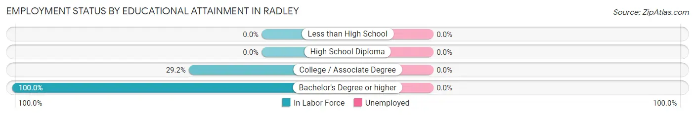 Employment Status by Educational Attainment in Radley