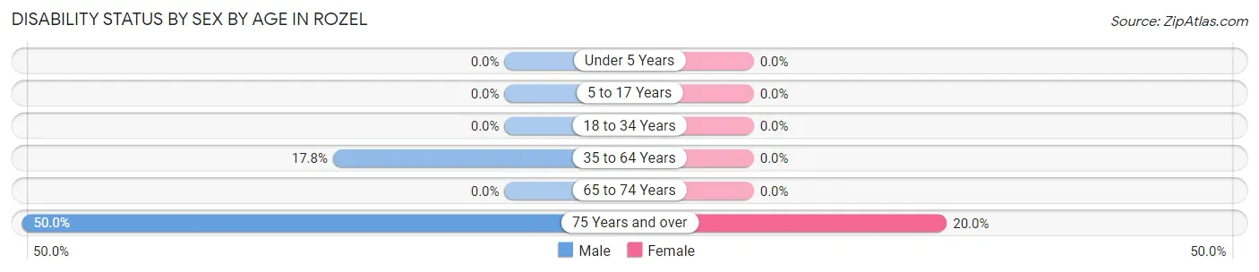 Disability Status by Sex by Age in Rozel